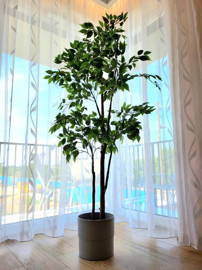 קרקוב Eksclusive Apartment Paradise Down Town 6 Persons 3 Rooms מראה חיצוני תמונה